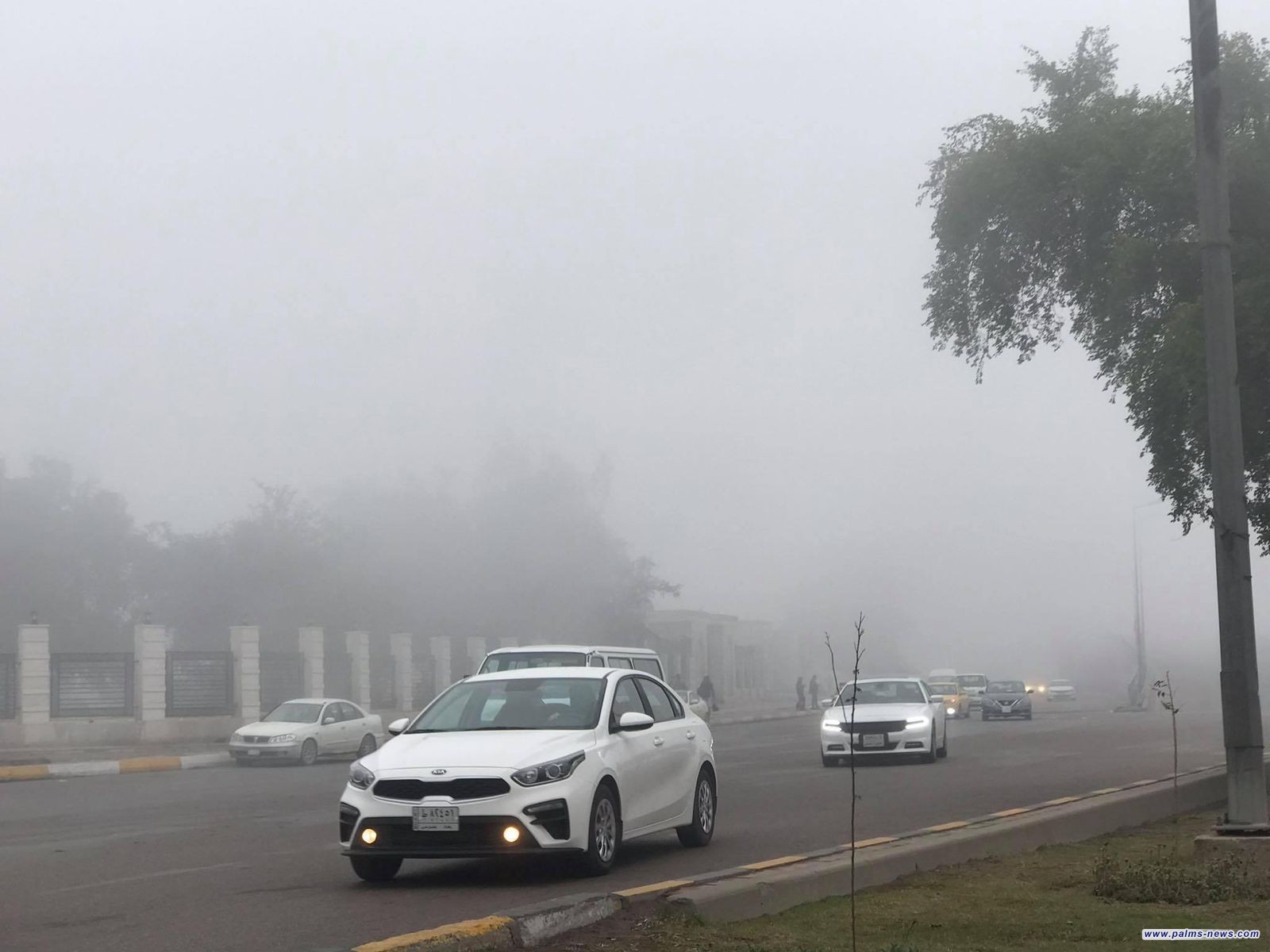 الأنواء الجوية تتوقع أمطاراً وضباباً وانخفاضاً تدريجياً في درجات الحرارة